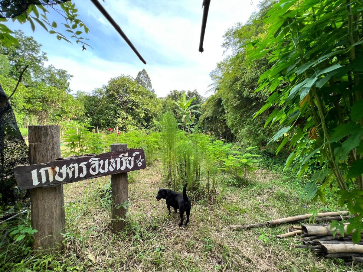 Phow Homestay Ban Mai  Luaran gambar